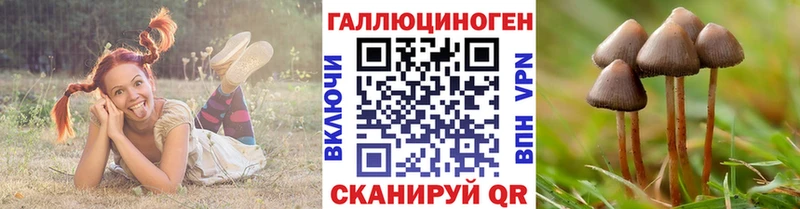 маркетплейс какой сайт  Малоархангельск  Галлюциногенные грибы Magic Shrooms  дарнет шоп 